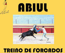 TREINO DO GRUPO DE FORCADOS AMADORES DE ABIUL 